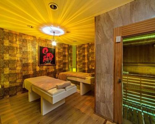 Grand Oztanik Hotel Taksim & Spa - Стамбул - фото 7