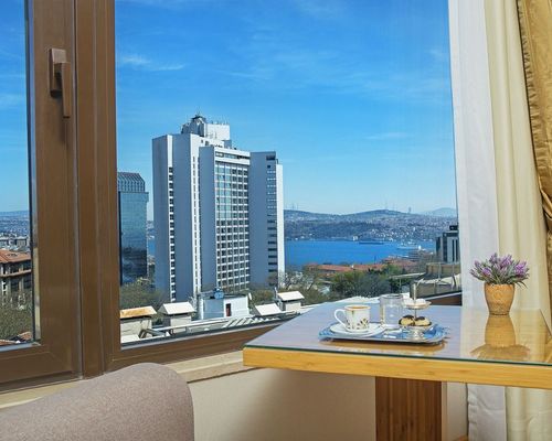 Golden Park Hotel Taksim Bosphorus - Стамбул - фото 23