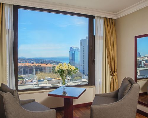 Golden Park Hotel Taksim Bosphorus - Стамбул - фото 8