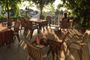 Marmara Guesthouse