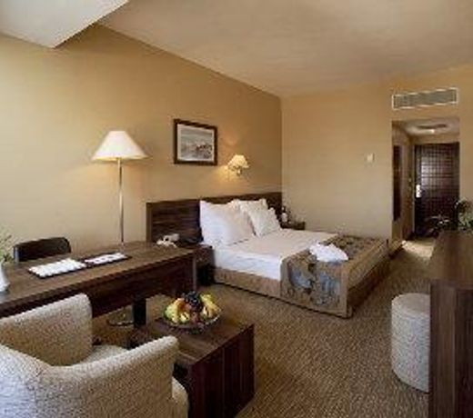 Plaza Hotel Diyarbakir