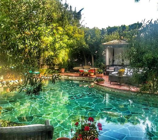 El Vino Hotel & Suites