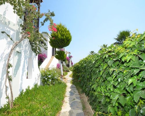 Salinas Hotel Bodrum - Гюмбет - фото 20