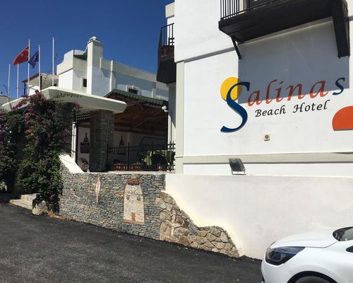 Salinas Hotel Bodrum - Гюмбет - фото 23