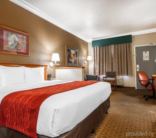 Comfort Inn & Suites San Francisco Airport North