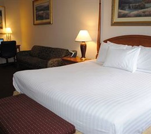 HOWARD JOHNSON INN DOWNTOWN CHICAGO