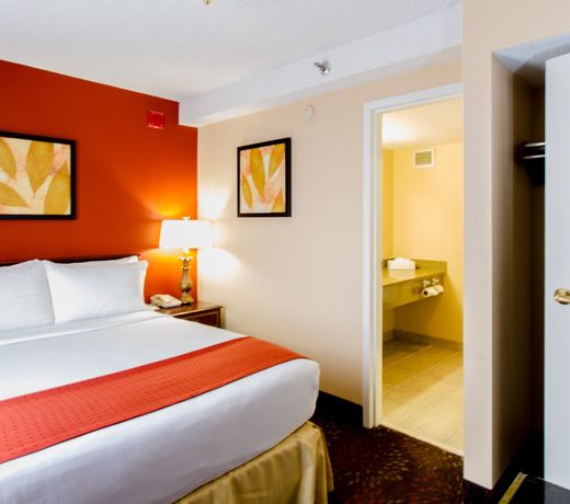 Holiday Inn O'Hare Area, an IHG Hotel