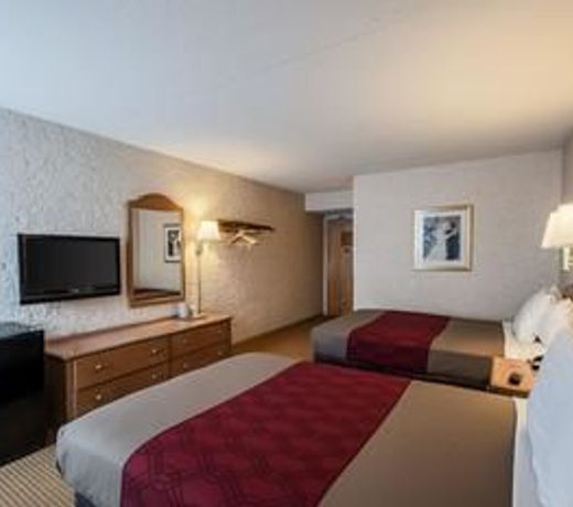 Econo Lodge Metro