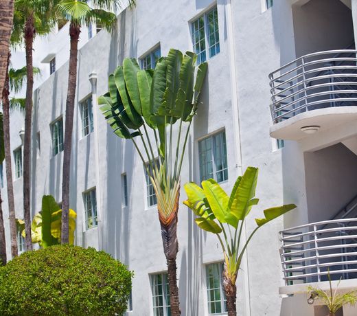 Kimpton Surfcomber Hotel, an IHG Hotel