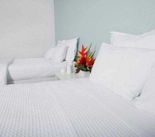 CARLTON HOTEL SOUTH BEACH