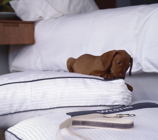 The Westin San Diego Downtown