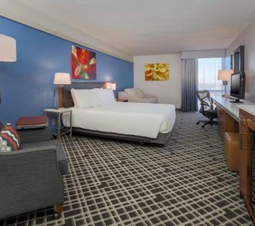 Hilton Garden Inn Dallas/Market Center