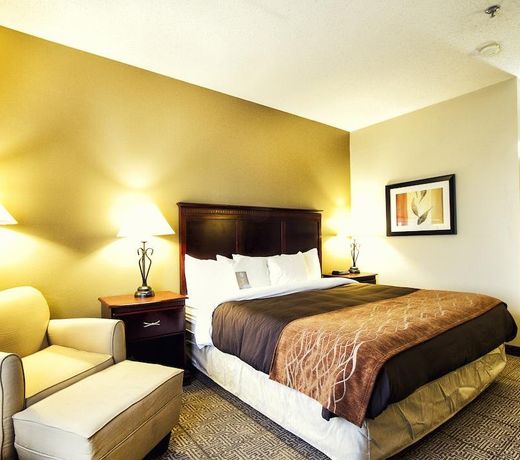 Comfort Inn & Suites Love Field â Dallas Market Center