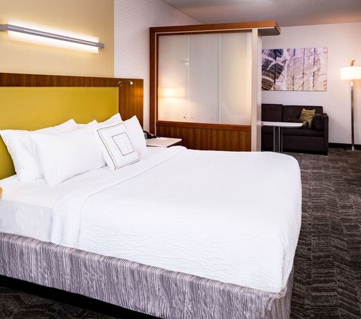 SpringHill Suites Pittsburgh Southside Works
