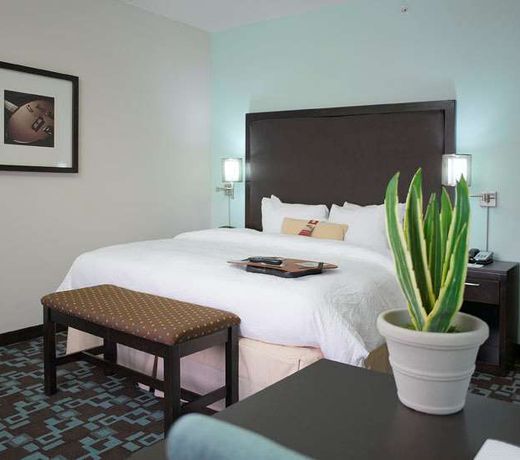 Hampton Inn & Suites Nashville at Opryland