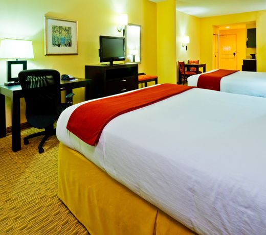 Holiday Inn Express Nashville-Opryland, an IHG Hotel