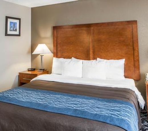 Comfort Inn South