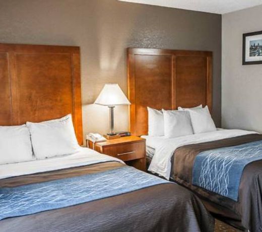 Comfort Inn South