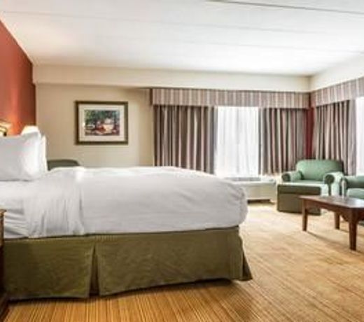 Clarion Hotel Airport