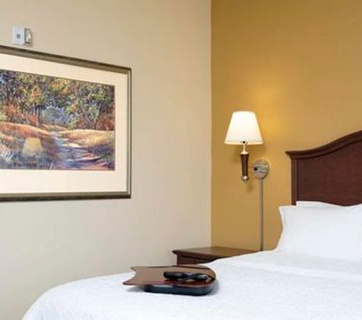 Hampton Inn & Suites Indianapolis-Airport