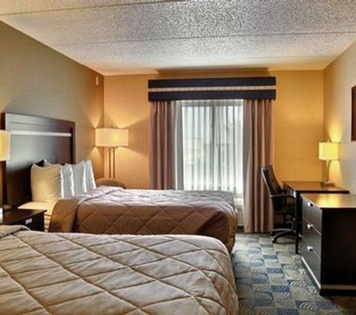 Comfort Inn & Suites Airport - Wolf Road