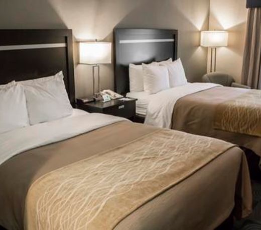 Comfort Inn & Suites Airport - Wolf Road