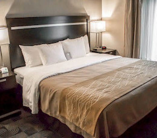 Comfort Inn & Suites Airport - Wolf Road