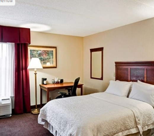 Hampton Inn Albany-Wolf Road