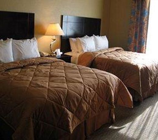 Comfort Inn & Suites Near the AT&T Center