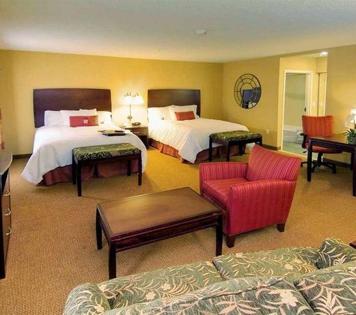 Hampton Inn and Suites San Antonio Airport