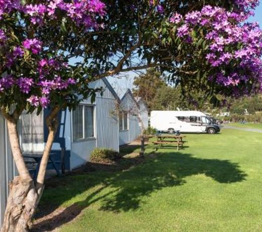 Waitangi Holiday Park