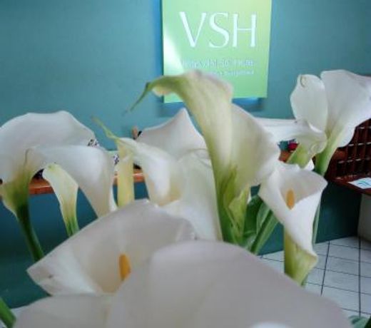 Villas del Sol Hotel & Bungalows