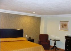 Hotel Dali Plaza Ejecutivo фото 3, г. Гвадалахара, Мексика