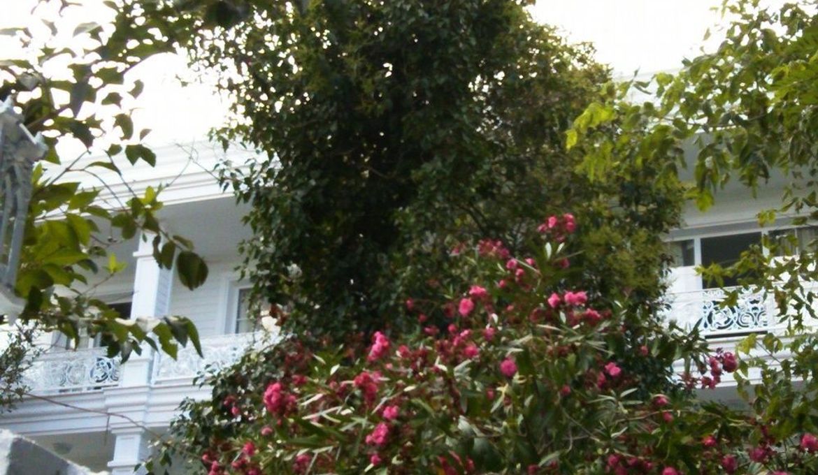 Buyukada Cankaya Hotel