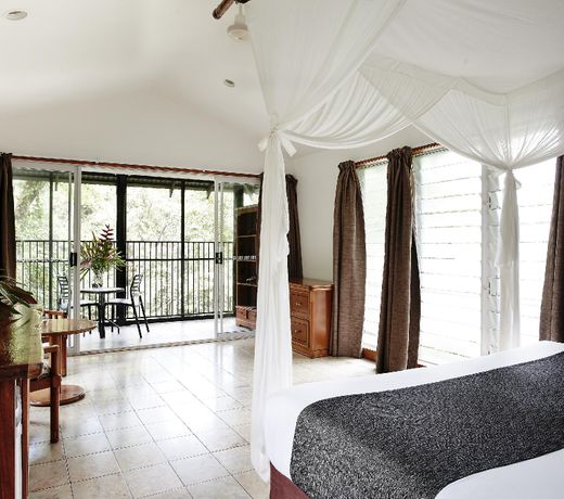 Daintree Ecolodge