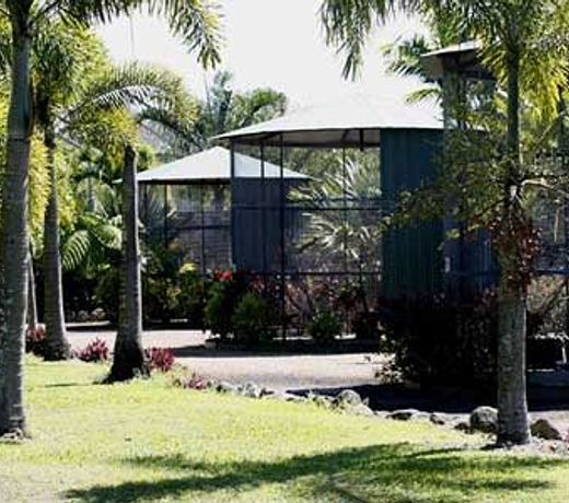 Daintree Wild Bed & Breakfast