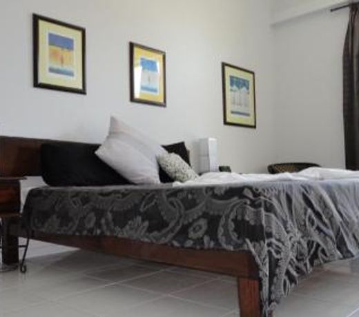 Daintree Wild Bed & Breakfast