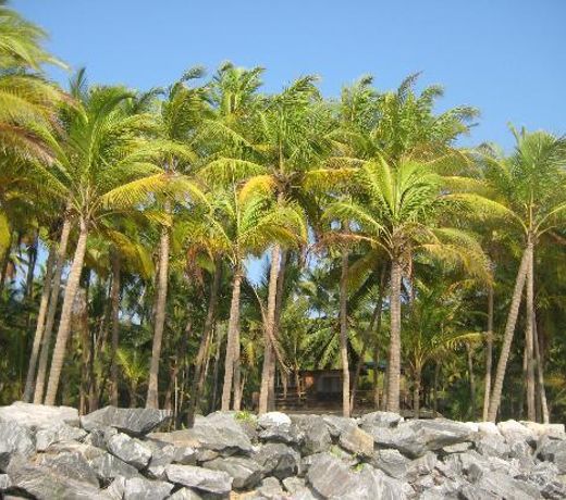 Seaside Homestay