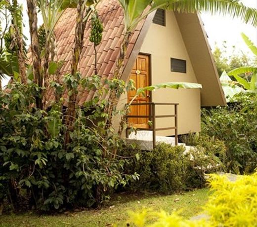 Pura Vida Hotel