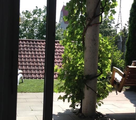 Ferienwohnung Weitblick