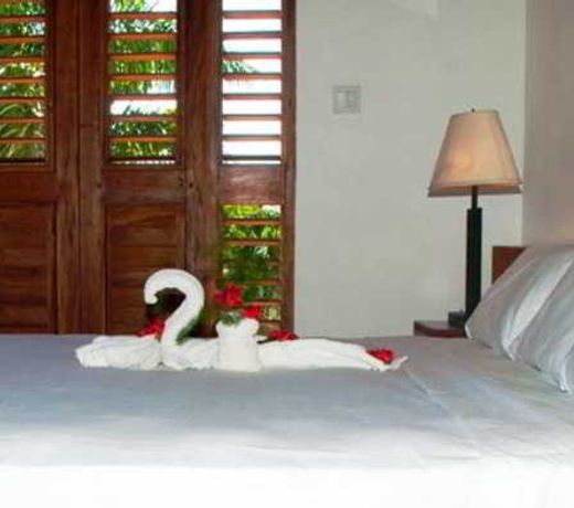 Negril Palms