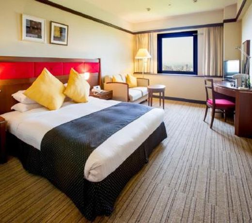 Okayama International Hotel