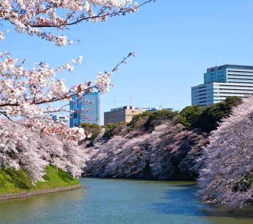 The Westin Tokyo