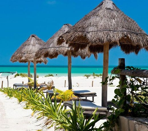 ELEMENTS HOLBOX