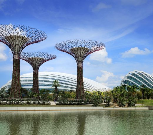 Sheraton Towers Singapore Hotel