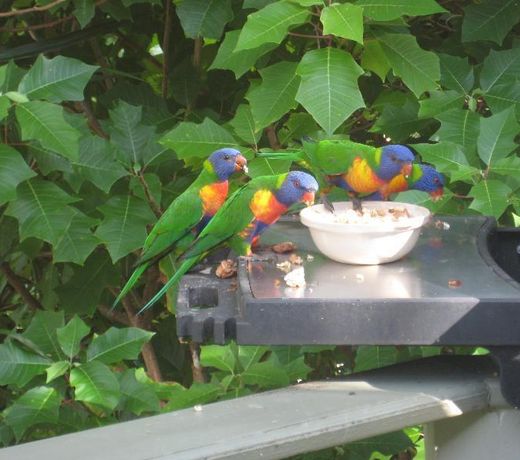 Baystay Bed & Breakfast