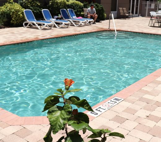 Holiday Inn Express Hotel & Suites Clearwater US 19 North, an IHG Hotel