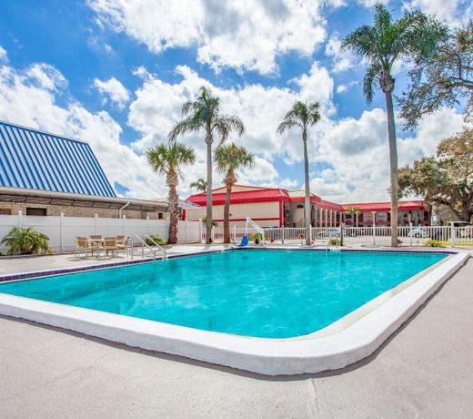 Super 8 by Wyndham Clearwater/US Hwy 19 N