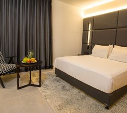 Hotel Lake House Kinneret