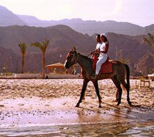 Safari Beach Hotel